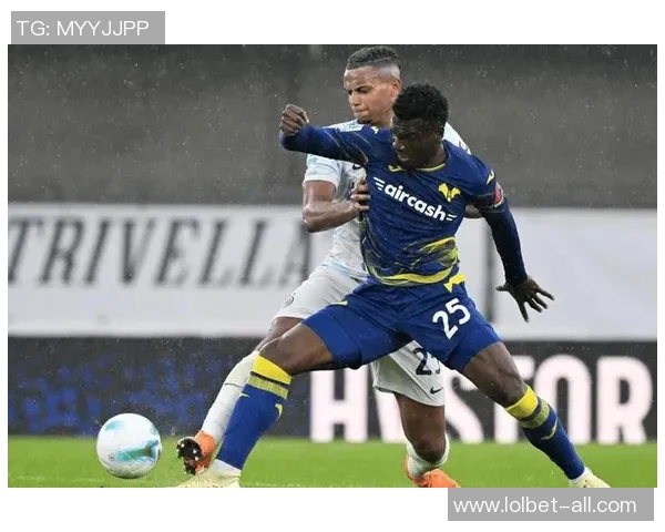 意甲精彩对决多特蒙德与里昂战成平局乌龙球引发全场热议与转会传闻