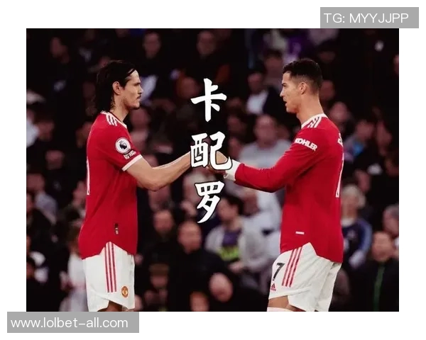 意甲激战热刺逆转拜仁红牌事件引发全场热议数据分析揭示关键因素